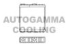 AUTOGAMMA 103143 Heat Exchanger, interior heating